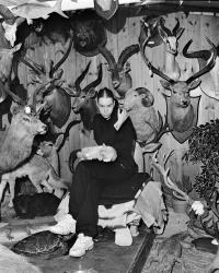 Trophies in the Pool House