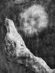 The Sound of the Night