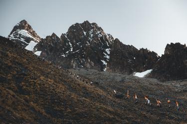 Tahuantinsuyo Nation