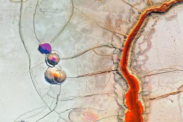 Disturbed Landscape 05