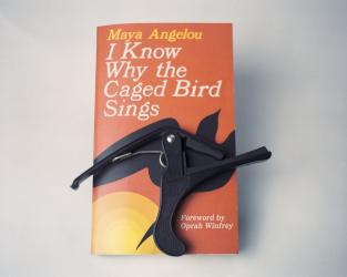 Esqueleto do pássaro de Maya