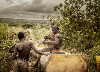 Cut down for Charcoal, Swallowed by the Sea 05