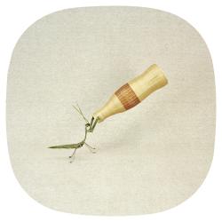 Wandering in Absolute Freedom