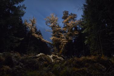 © Gareth Iwan Jones, United Kingdom, Finalist, Professional competition, Landscape, 2022 Sony World Photography Awards