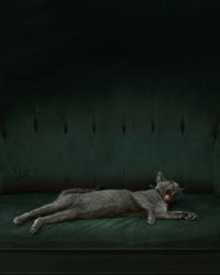 © Hugh Fox, United Kingdom, Finalist, Professional competition, Portfolio, 2022 Sony World Photography Awards