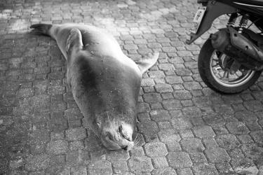 Where the Beach Ends