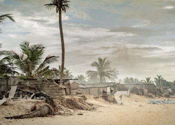 Cut down for Charcoal, Swallowed by the Sea 02