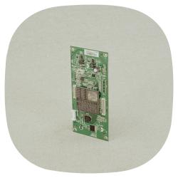 Wandering in Absolute Freedom