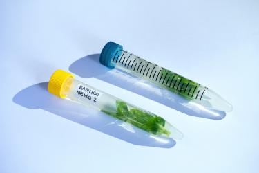 © Giacomo d'Orlando, Italy, Finalist, Professional competition, Environment, 2022 Sony World Photography Awards