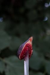 Personal and Collective Trauma