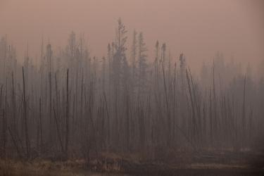 Canada's Wildfire Smoke Haze