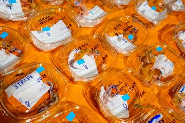 © Federico Borella, Italy, Finalist, Professional competition, Wildlife & Nature, 2022 Sony World Photography Awards	