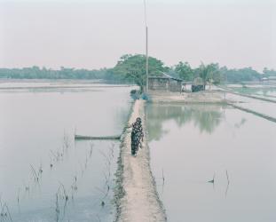 Living in the Transition pt.1