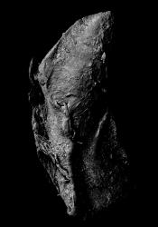 © Kikoh Matsuura + Kazuki Ide, Japan, Shortlist, Professional competition, Environment, 2022 Sony World Photography Awards