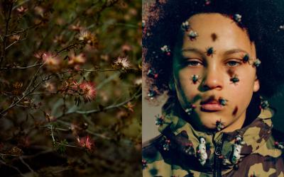 © Raphaël Neal, United Kingdom, Finalist, Professional competition, Creative, 2022 Sony World Photography Awards