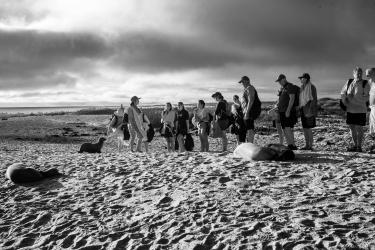 Where the Beach Ends