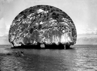 The Dream of Landscape