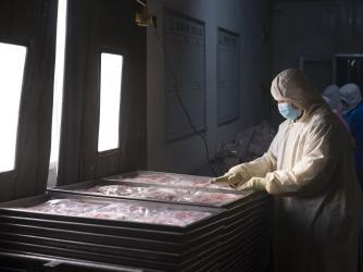 Slaughterhouse assembly line.