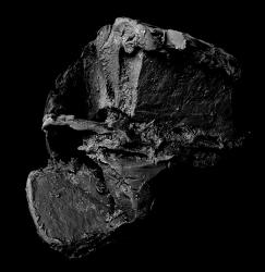 © Kikoh Matsuura + Kazuki Ide, Japan, Shortlist, Professional competition, Environment, 2022 Sony World Photography Awards