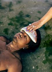 A Fish for Better Mental Health