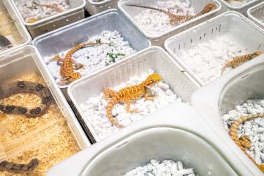 © Federico Borella, Italy, Finalist, Professional competition, Wildlife & Nature, 2022 Sony World Photography Awards	