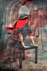 “क़ैद-ए-क़फ़स ” (Prisoner of the Prison)