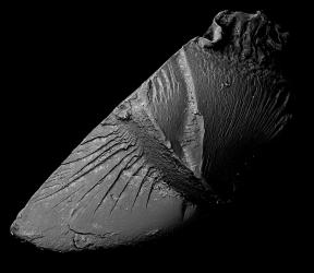 © Kikoh Matsuura + Kazuki Ide, Japan, Shortlist, Professional competition, Environment, 2022 Sony World Photography Awards