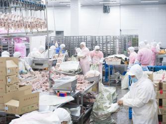 Slaughterhouse assembly line.