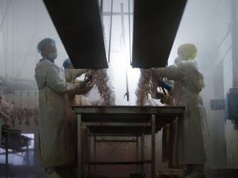 Slaughterhouse assembly line.