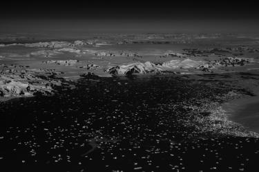 Winds of the Drifting Stars