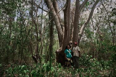 Leocadia and Valdemar Utiz