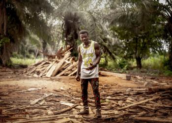 Cut down for Charcoal, Swallowed by the Sea 07