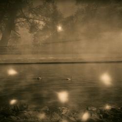 Förälskelsen (The Crush)