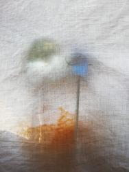 anSCHEIN (Semblance)