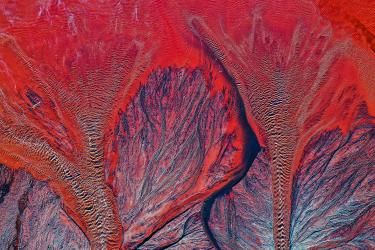 Disturbed Landscape 10