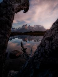 Through the Ancient Wood