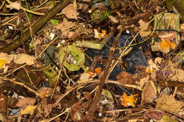 All the Objects You Can See