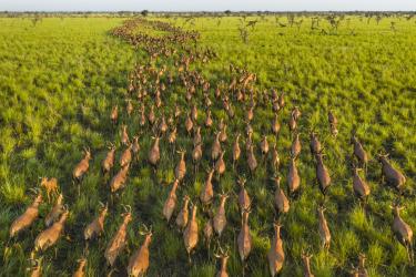 South Sudan's Forgotten Wilderness