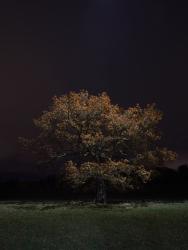 © Gareth Iwan Jones, United Kingdom, Finalist, Professional competition, Landscape, 2022 Sony World Photography Awards