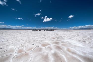 Jujuy: Great Salt Flats