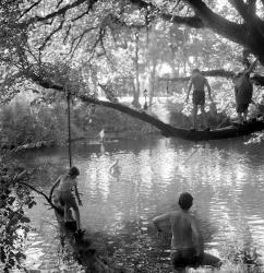 Boys in Trees, Summer 2020, Indre, France