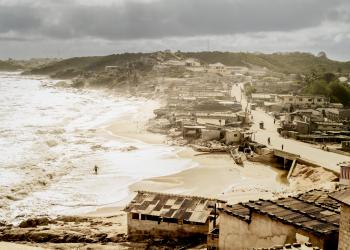 Cut down for Charcoal, Swallowed by the Sea 01