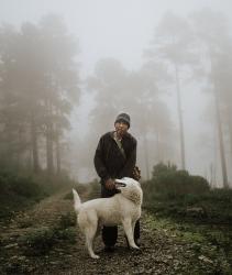 Companions in the Fog