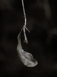 © Julian Anderson, United Kingdom, Finalist, Professional competition, Portfolio, 2022 Sony World Photography Awards