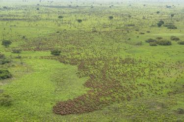 South Sudan's Forgotten Wilderness