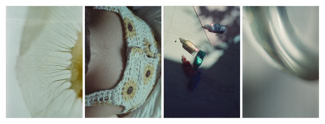 Here is born a tree that sleeps and awakens.