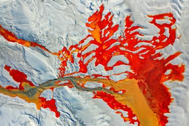 Disturbed Landscape 06