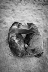 Where the Beach Ends