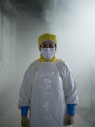 Slaughterhouse assembly line.