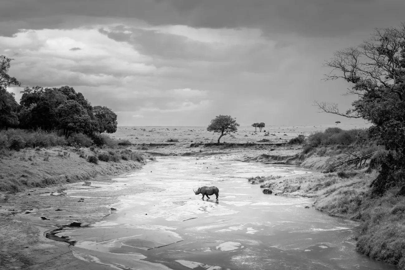 © Fiona Stappmanns